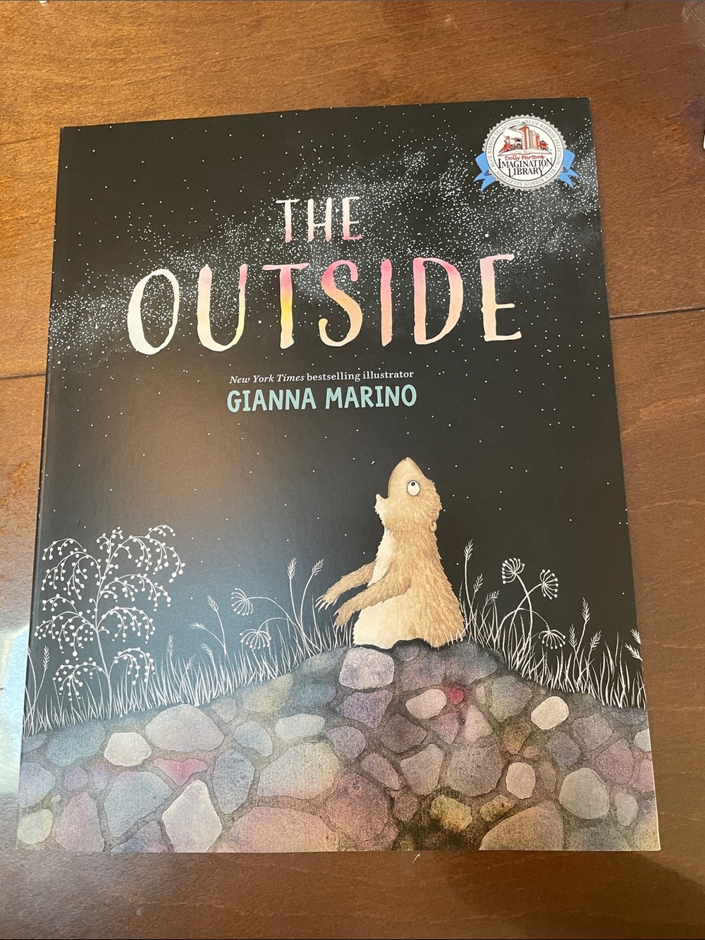 The outside children’s book